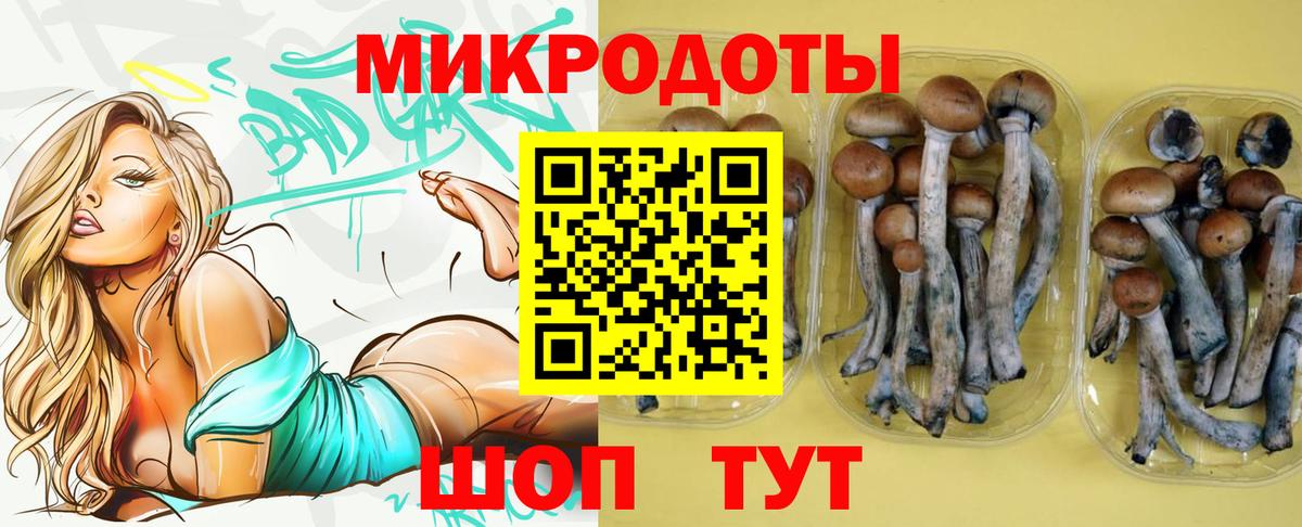 Галлюциногенные грибы мухоморы  Вход с VPN  Бийск 